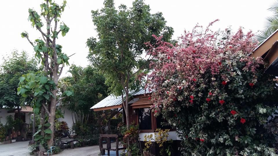 Pruksa Garden Hotel Phu Wiang Bagian luar foto